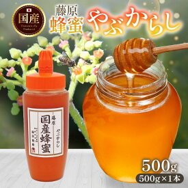 【ふるさと納税】藤原国産蜂蜜 やぶからし 500g はちみつ ヤブカラシ 国産 単花蜜 朝しぼり 完熟 ハチミツ パン 菓子 トースト ホットケーキ ヨーグルト 調味料 隠し味 お取り寄せ ポリ容器 常温 常備 送料無料 藤原養蜂場 岩手県 盛岡市
