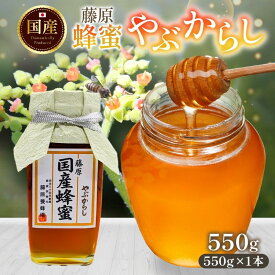 【ふるさと納税】藤原国産蜂蜜 やぶからし 550g はちみつ ヤブカラシ 国産 単花蜜 朝しぼり 完熟 ハチミツ パン 菓子 トースト ホットケーキ ヨーグルト 調味料 隠し味 お取り寄せ 瓶 容器 常温 常備 送料無料 藤原養蜂場 岩手県 盛岡市
