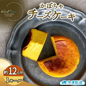 yӂ邳Ɣ[Łzڂ`[YP[Lz[ XC[c s `[YP[L z[ ڂ fU[g XC[c َq P[L Ⓚ 茧 s@͂F2026N10{`20261{