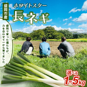 yӂ邳Ɣ[Łz茧sYlM Iׂ 1kg/2kg/3kg/4kg/5kg ˂ VN  lM lM ˂ ˂ K Y Â   