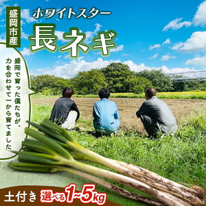 yӂ邳Ɣ[Łz茧sYytlM Iׂ 1kg/2kg/3kg/4kg/5kg ˂ VN  lM lM ˂ ˂ K yt Y Â   