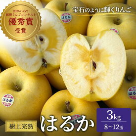 【ふるさと納税】 先行予約 はるか 樹上完熟 りんご 3kg 林檎 リンゴ 果物 フルーツ おやつ デザート 旬の果物 旬のフルーツ 季節の果物 季節のフルーツ 岩手りんご 国産 岩手県 盛岡市 東北 岩手 盛岡 峰崎果樹園 minezaki004