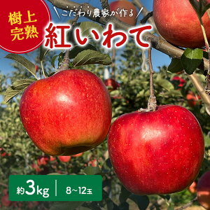 yӂ邳Ɣ[Łzg 3kg ь S ʕ t[c  fU[g {̉ʕ {̃t[c G߂̉ʕ G߂̃t[c  茧 s