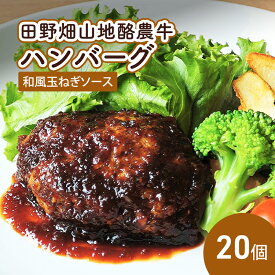 【ふるさと納税】田野畑山地酪農牛ハンバーグ 和風玉ねぎソース 20個入り ハンバーグ 冷凍 小分け 個包装 湯煎 温めるだけ 簡単 牛肉 肉 牛 惣菜 おかず お弁当
