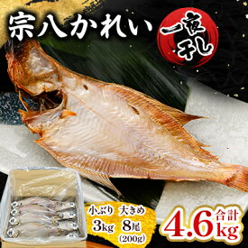 【ふるさと納税】一夜干し宗八かれい4.6kgセット_ 干物 かれい カレイ 一夜干し 魚 さかな ひもの おかず 焼魚 焼き魚 唐揚げ 南蛮漬け 朝食 朝ごはん ご飯のお供 おつまみ 魚介類 海産物 国産 岩手県 ギフト プレゼント 冷凍 送料無料 【配送不可地域：離島】【1521613】