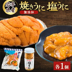 【ふるさと納税】無添加焼うに1個・塩うに1本セット_ うに ウニ 雲丹 焼きうに 塩ウニ 海鮮 酒の肴 お取り寄せグルメ 食べ比べ おつまみ おにぎりの具 海鮮丼 無添加 プレゼント 贈答 おすすめ 人気 送料無料 岩手県 宮古市 【配送不可地域：離島】【1526880】