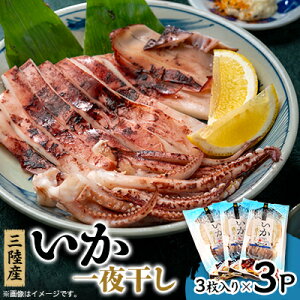 【ふるさと納税】イカ一夜干し3枚入×3p【配送不可地域:離島】【1610235】