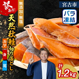 【ふるさと納税】【訳あり】秋鮭切り落とし(カマ・身・尾)300g×4袋セット_ 鮭 秋鮭 訳あり サケ 秋サケ さけ 切り落とし カマ 身 尾 無添加 無塩 おかず おつまみ 酒の肴 ご飯のお供 真空包装 岩手県 宮古市 家庭用 自宅用 冷凍 送料無料 【配送不可地域：離島】【1632505】