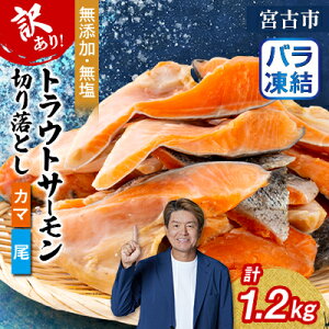 yӂ邳Ɣ[Łzy󂠂zgEgT[؂藎Ƃ(J}E)300g×4܃ZbgyzsnFzy1632509z