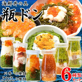 【ふるさと納税】海鮮丼の具 瓶ドン 川秀3種類 浄土ヶ浜パークホテル3種類 計6種類セット 岩手県宮古市名物_ 海鮮丼 瓶ドン 詰め合わせ 6種 イカ タコ サーモン 海鮮 紅葉漬 いくら 焼きウニ 魚介 三陸 人気 冷凍 送料無料 岩手県 宮古市 【配送不可地域：離島】【1681298】