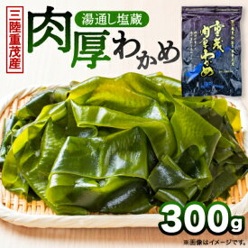 【ふるさと納税】【三陸重茂産わかめ】湯通し塩蔵　肉厚わかめ　300g【配送不可地域：離島】【1685350】