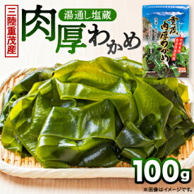 【ふるさと納税】【三陸重茂産わかめ】湯通し塩蔵　肉厚わかめ　100g【配送不可地域：離島】【1685356】