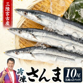 【ふるさと納税】三陸宮古産　冷凍さんま　10尾(5尾×2パック)【配送不可地域：離島】【1702568】