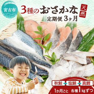 �y�ӂ邳�Ɣ[�Łz�y3����������ցz�O���Ŋl�ꂽ�l�C�̓V�R��3��Z�b�g�̒���֑S3��y�z���s�n��F�����z�y4078776�z