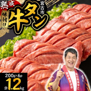 【ふるさと納税】\レビューキャンペーン/_三陸宮古の塩を使用した熟成牛タン(選べる重さ6通り、タン先有無)_ 牛肉 肉 お肉 牛たん タン たん 焼肉 人気 美味しい おすすめ 送料無料【配送