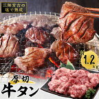  三陸 宮古 の塩を使用した 熟成 牛タン スライス 味付け 1.2kg (200g×6)_ 牛肉 肉 お肉 牛たん タン たん 焼肉 人気 美味しい 【配送不可地域：離島】【1278101】