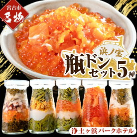 【ふるさと納税】浄土ヶ浜パークホテル【瓶ドン浜ノ宝】5本セット_ 魚介 海鮮 瓶ドン 浄土ヶ浜パークホテル ご当地グルメ 岩手県 宮古市 いくら ホタテ ウニ サーモン アワビ めかぶ 海鮮丼 贈答 ギフト 人気 おすすめ 送料無料 【配送不可地域：離島】【1473657】
