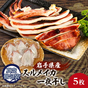 yӂ邳Ɣ[ŁzXCJ̈銱5Zbg_ XCJ ߂ XCJ銱 ܂ ̍   O CN  Mtg 茧 {Îs  lC 