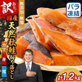 【ふるさと納税】【訳あり】秋鮭切り落とし(カマ・身・尾)300g×4袋セット_ 鮭 秋鮭 訳あり サケ 秋サケ さけ 切り落とし カマ 身 尾 無添加 無塩 おかず おつまみ 酒の肴 ご飯のお供 真空包装 岩手県 宮古市 家庭用 自宅用 冷凍 送料無料 【配送不可地域：離島】【1632505】