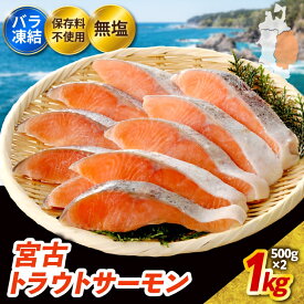 【ふるさと納税】無添加・無塩　トラウトサーモン切身1kg入り(腹骨取り)_ トラウトサーモン サーモン 切り身 1kg 魚 海産物 無添加 無塩 おかず おつまみ 酒の肴 朝食 ごはんのお供 真空包装 岩手県 宮古市 贈答 ギフト プレゼント 冷凍 【配送不可地域：離島】【1632507】
