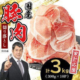 【ふるさと納税】＼レビューキャンペーン／_家計応援!国産 豚肉 計3kg!(300g×10P) 豚 切り落とし 小分けで便利_ 豚肉 肉 国産 スライス 小分け 切り落し 冷凍 家庭用 人気 おすすめ 送料無料 便利 【配送不可地域：離島】【1658904】