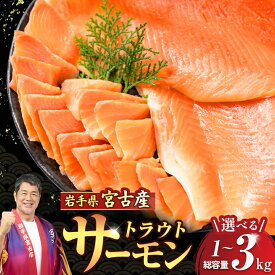【ふるさと納税】トラウトサーモン　フィーレ・フィレ(1kg、2kg、3kg)_ サーモン トラウトサーモン フィレ フィーレ 無塩 魚 魚介 海鮮 鮭 刺身 焼き魚 ソテー フライ ホイル焼き お弁当 おかず 岩手県 宮古市 冷凍 送料無料 【配送不可地域：離島】【G1722185】
