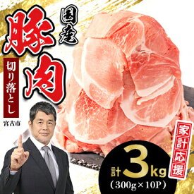 【ふるさと納税】家計応援!国産 豚肉 計3kg!(300g×10P) 豚 切り落とし 小分けで便利【配送不可地域：離島】【1658904】