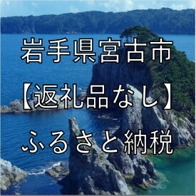 【ふるさと納税】岩手県宮古市への寄付（返礼品はありません）