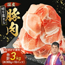 【ふるさと納税】＼レビューキャンペーン／_家計応援!国産 豚肉 計3kg!(300g×10P) 豚 切り落とし 小分けで便利_ 豚肉 肉 国産 スライス 小分け 切り落し 冷凍 家庭用 人気 おすすめ 送料無料 便利 【配送不可地域：離島】【1658904】