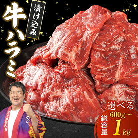 【ふるさと納税】吉田精肉店の漬け込み牛ハラミ[600g/800g/1kg]_ ハラミ 牛ハラミ 牛肉 肉 お肉 焼肉 焼き肉 やきにく 丼 牛 味付け タレ 岩手県 宮古市 おかず おつまみ BBQ バーベキュー プレゼント 冷凍 【配送不可地域：離島】【G1440322】