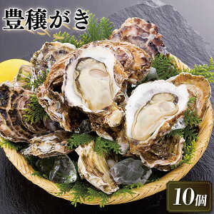 yӂ邳Ɣ[Łz L 10 Hp Ⓚ  y JL ICX^[ oyster Aq[W o[xL[ BBQ tC g  ͂ [  ܂ ӎ   CY CN  
