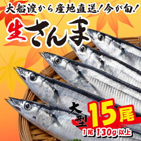 【ふるさと納税】 さんま 15尾 冷蔵 数量限定 [発送:2026年9月〜2026年11月下旬頃まで] 冷蔵 生さんま 新鮮 鮮度 産地直送 さんま祭り サンマ祭り 肴 つまみ 簡単 簡単調理 ごはん おかず 三陸 岩手 大船渡市 サンマ 秋刀魚 生 被災 震災 支援 応援 鎌田水産