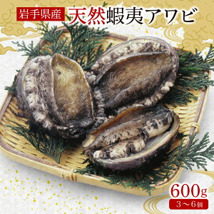 yӂ邳Ɣ[Łz ڈ΂ 600g Ⓚ   Ar  Abalone Xe[L hg hg o[xL[ o^[\e[    BBQ ͂ [  ܂ ӎ   CY 