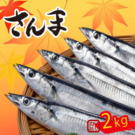 【ふるさと納税】 【2026年先行予約】 訳あり さんま 約2kg 冷蔵 秋刀魚 サンマ 生サンマ 海産物 海鮮 魚介 魚介類 大船渡 三陸 岩手県 国産 発送期日 2026年9月〜2026年11月中旬
