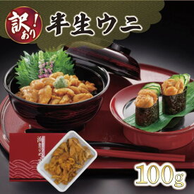 【ふるさと納税】 訳あり 岩手県産 半生うに 100g 冷凍 うに ウニ 雲丹 キタムラサキウニ ミョウバン不使用 ウニ丼 丼 おつまみ 晩酌 海鮮 海産物 珍味 日本三大珍味 三陸 岩手県 大船渡市