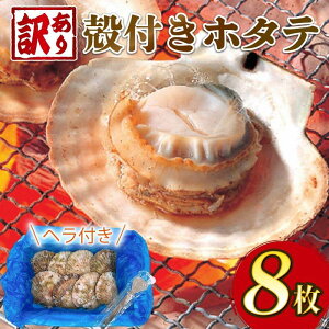 yӂ邳Ɣ[Łz 󂠂 z^e Ⓚ L Iׂe 500g 1kg kt8 ق    o[xL[ BBQ t tĂ o^[Ă o` [  ܂ ӎ CY CN  