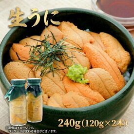 【ふるさと納税】 【2026年 先行予約】 牛乳瓶 生うに 240g (120g×2本) [5〜8月発送] 冷蔵 ミョウバン不使用 選べる容量 うに ウニ 雲丹 ご飯 丼 海鮮丼 ウニ丼 おつまみ テレビ TV 放送 ニュース 番組 岩手県産 鎌田水産 三陸 岩手県 大船渡市