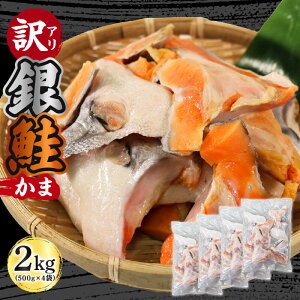 yӂ邳Ɣ[Łz 󂠂  J} 2kg ( 500g × 4 ) CY CN    Ⴏ Ă FISH ͂ [  ܂ ӎ   Dn