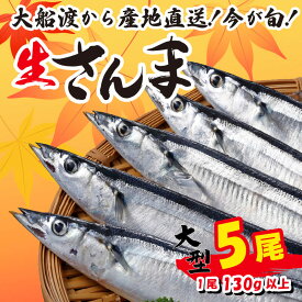 【ふるさと納税】 さんま 大型5尾 冷蔵 期間限定 [発送:2026年9月〜2026年11月下旬頃まで] 冷蔵 生さんま 新鮮 鮮度 産地直送 さんま祭り サンマ祭り 肴 簡単 簡単調理 ごはん おかず 三陸 岩手 大船渡市 サンマ 秋刀魚 生 被災 震災 支援 応援 鎌田水産