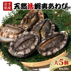 【ふるさと納税】 あわび 大サイズ 5個 約650g 三陸産 天然 活鮑 刺身 冷蔵 旬 貝 蝦夷あわび 魚介類 期間限定 産地直送 岩手 大船渡市