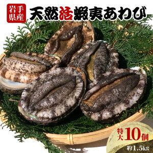 yӂ邳Ɣ[Łz y12/25܂ŔNzENzz  Iׂ TCY  ①  ڈ΂  Ar  Abalone Xe[L o^[\e[    hg hg 