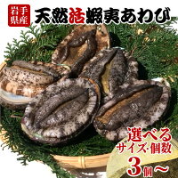 今が旬!! 三陸のあわびをお届け!!