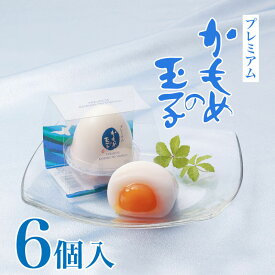 【ふるさと納税】 夏季限定 プレミアムかもめの玉子 (6個入) かめもの玉子 季節限定 期間限定 マンゴーソース 杏仁豆腐 生菓子 夏 お菓子