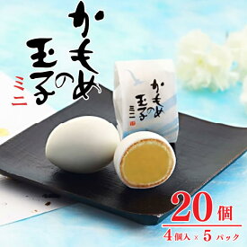【ふるさと納税】 かもめの玉子 ミニ 4個入 × 5パック (計20個) お菓子 スイーツ 洋菓子 銘菓 大船渡 岩手県 卵型 お茶菓子 焼き菓子 焼菓子 餡 おやつ お土産 手土産 さいとう製菓
