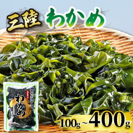 【ふるさと納税】 わかめ 選べる 容量 100g～400g 湯通し塩蔵わかめ 海鮮 海藻 魚貝類 魚介類 小分け みそ汁 スープ 酢の物 三陸産 岩手県 大船渡市