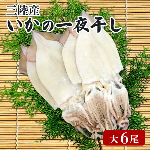 yӂ邳Ɣ[Łz  銱  6  CJ G squid o[xL[ BBQ t tĂ [  ܂ ӎ CY CN   Dn O 茧 Y