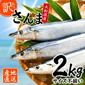 【ふるさと納税】 訳あり 鮮さんま 2kg 冷蔵 不揃い 訳アリ 鮮秋刀魚 さんま [発送:2026年9月〜2026年11月下旬] 三陸 岩手県 大船渡市 サンマ 秋刀魚 生 産地直送 大容量 水揚げ当日 旬 季節限定