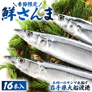 yӂ邳Ɣ[Łz [ Ԍ eʉ ] N 16{ 18{ (100-120g) [9-11]  H    Ă  FISH ͂ [  ӎ   CY CN   