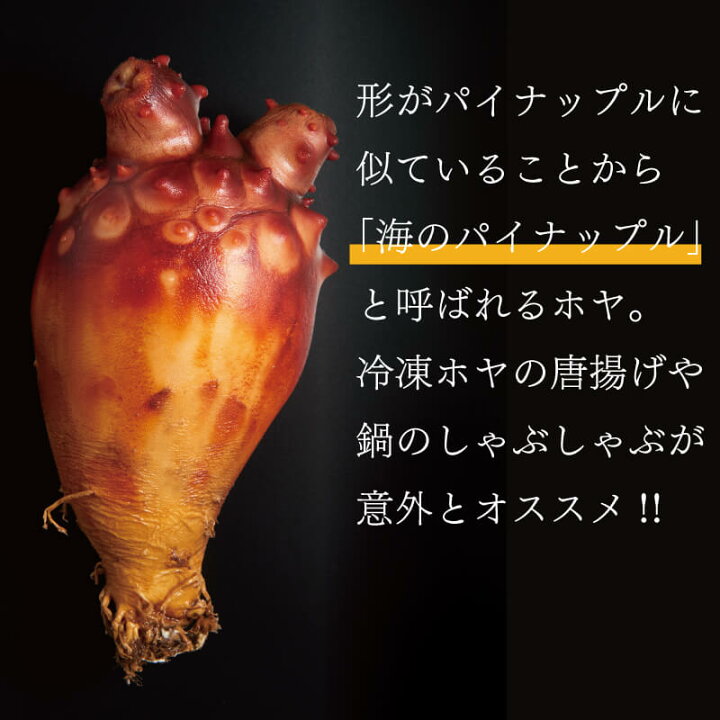 楽天市場】【ふるさと納税】 生食用ほや 900g お刺身用ほや 300g 計1.2 