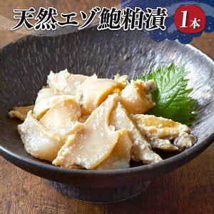 yӂ邳Ɣ[Łz G]鸔 rl 1{ O ڈ΃Ar   